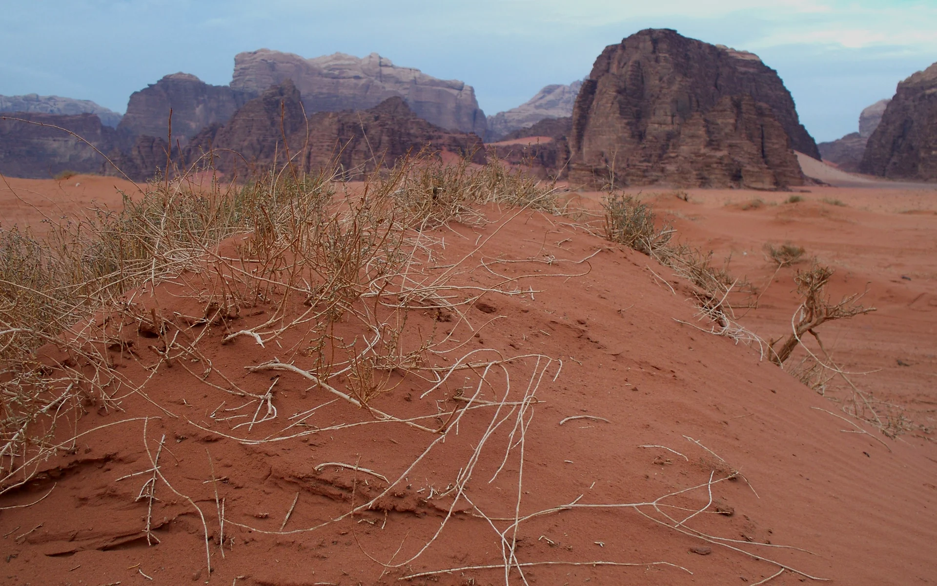 Wadi Rum